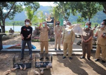 Bupati Indartato Lepas 3 Jenis Burung di Pancer Door r