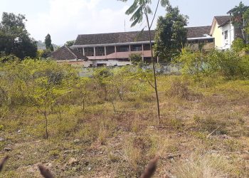 Masyarakat Kritik Rencana Pembangunan Perpustakaan Daerah Pacitan