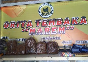 Tembakau Tradisional Pacitan Mulai Digemari Masyarakat Pacitan