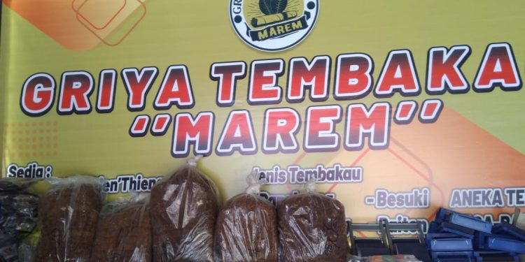Tembakau Tradisional Pacitan Mulai Digemari Masyarakat Pacitan