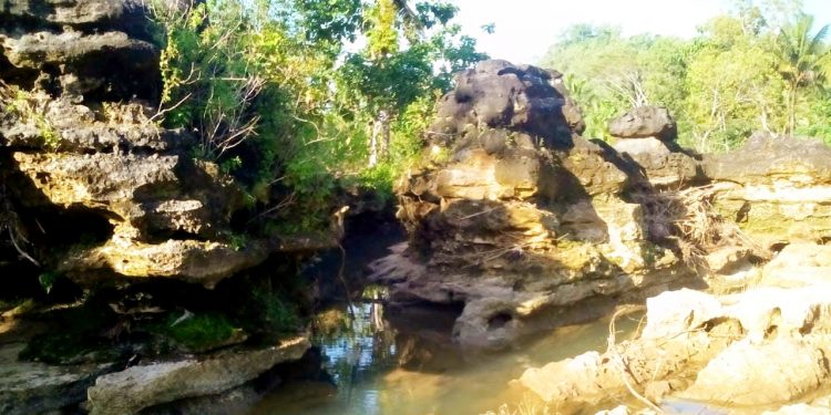 Upaya Mengembalikan Jati Diri Ibu Kota Prasejarah, Budayawan Pacitan Angkat Bicara