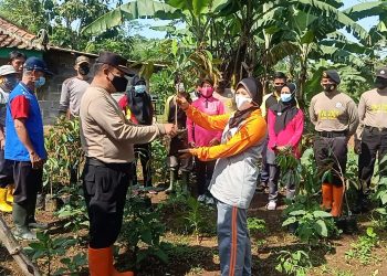 Cegah Erupsi Jadikan Sumber Ekonomi, Polsek Punung dan Desa Gondosari Tanam Ratusan Pohon Durian