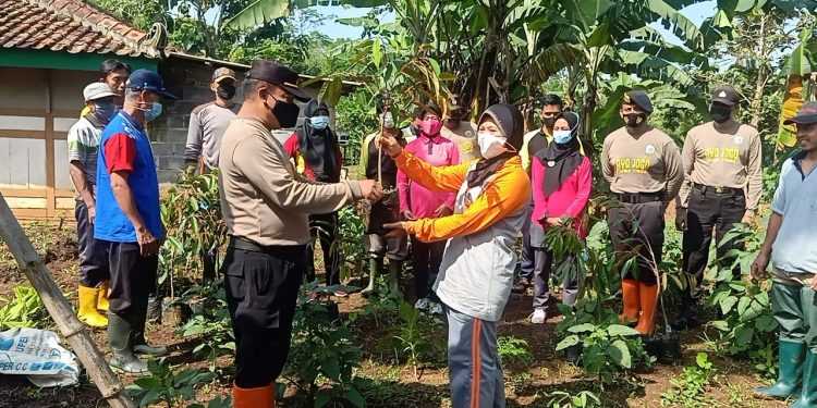 Cegah Erupsi Jadikan Sumber Ekonomi, Polsek Punung dan Desa Gondosari Tanam Ratusan Pohon Durian