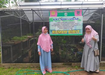 Ketahanan Pangan, Ketua TP PKK Desa Kalikuning Ajak Ibu Rumah Tangga Tanam Sayur