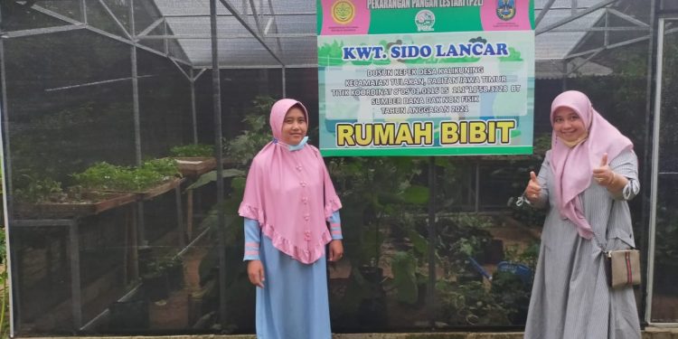 Ketahanan Pangan, Ketua TP PKK Desa Kalikuning Ajak Ibu Rumah Tangga Tanam Sayur