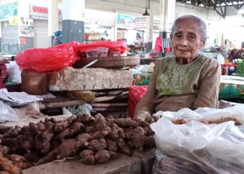 Meski Umur 85 Tahun, Nenek Asal Arjosari Pacitan Tetap Semangat Berdagang di Pasar Minulyo