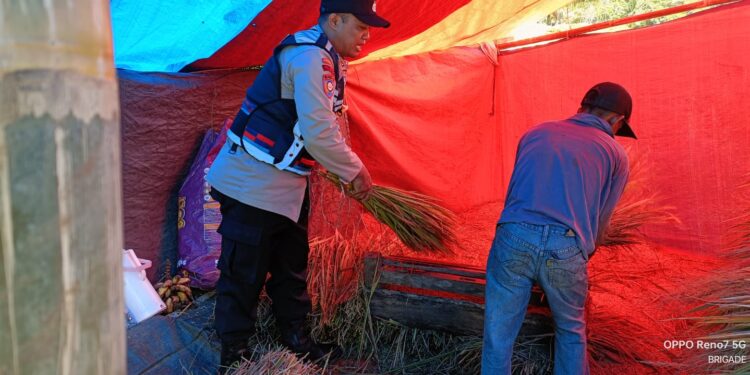 Bantu Petani Panen Padi, Bripka Latip Utomo Dapat Aduan Panen Tak Maksimal, Ini 3 Penyebabnya