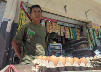 Setok Langka Biangkerok Harga Telur di Pacitan Melejit