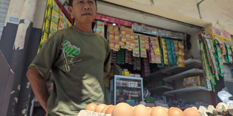 Setok Langka Biangkerok Harga Telur di Pacitan Melejit   
