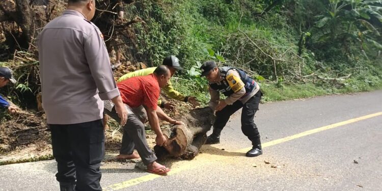 Patut Ditiru, Pak Bhabin Latip Sigap Bantu Warga Hilangkan Pohon yang Hadang Jalan