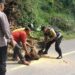 Patut Ditiru, Pak Bhabin Latip Sigap Bantu Warga Hilangkan Pohon yang Hadang Jalan