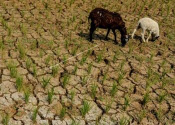 Pacitan Panas, Ini Penjelasan BMKG