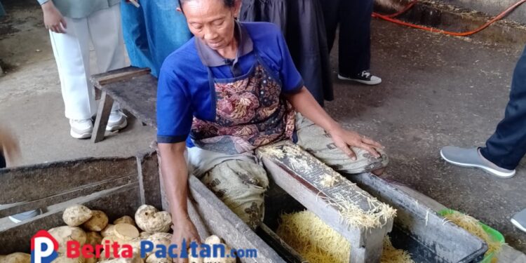 Cuaca Ekstrem, Pengusaha Grubi di Pacitan Keluhkan Mutu Ubi Anjlok Berair