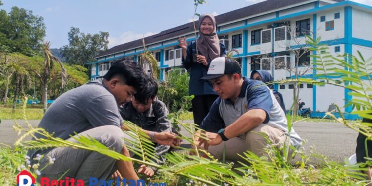 Tanam Pohon Trembesi Bareng DLH, PMII Pacitan Ajak Anggota Lawan Kekeringan
