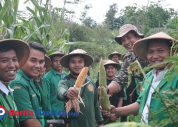 GP Ansor Pacitan Kukuhkan Patriot Ketahanan Pangan, Panen Lombok hingga Lele di Kecamatan Bandar