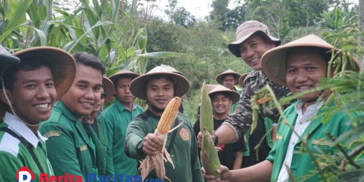 GP Ansor Pacitan Kukuhkan Patriot Ketahanan Pangan, Panen Lombok hingga Lele di Kecamatan Bandar