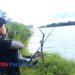 Para pemancing muda menikmati tantangan menangkap kakap di perairan tenang Pacitan. (Foto: Diki Kurnia/Berita Pacitan)