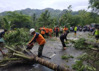 Evakuasi bencana yang dilakukan oleh BPBD Pacitan akibat cuaca ekstrem. (Foto: BPBD)
