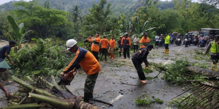 Evakuasi bencana yang dilakukan oleh BPBD Pacitan akibat cuaca ekstrem. (Foto: BPBD)