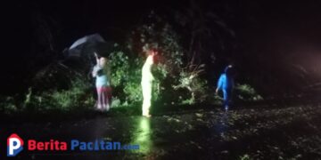 Petugas Polsek Kebonagung bersama warga segera melakukan evakuasi dan pembersihan material pohon yang menutup jalan.(Foto: Istimewa for Berita Pacitan).