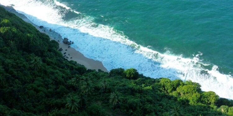 Dilihat dari ketinggian, Pantai Nanggala tampak memukau dengan garis pantai berpasir putih yang tersembunyi di balik hutan tropis. Ombak besar Samudra Hindia berpadu indah dengan rimbun pepohonan hijau yang menjaganya tetap alami.(Foto : Ekspedisi Merah Putih for Berita Pacitan).