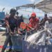 Aktivitas nelayan di Pelabuhan Tamperan, Pacitan, saat menurunkan hasil tangkapan cumi, tuna, ronang, dan cakalang yang tengah melimpah. (Foto: Sunardi/Berita Pacitan).