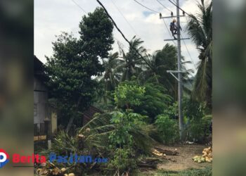 Aktivitas pemasangan jaringan listrik di lahan milik warga di Dusun Tumpak Wati, Desa Widoro, Kecamatan Donorojo, Pacitan, Selasa, 20 Januari 2026. Terlihat tiang dan trafo listrik berdiri di dekat rumah warga, sementara pohon kelapa yang ditebang dibiarkan berserakan di lokasi. (Foto: Yogi for Beritapacitan.com)