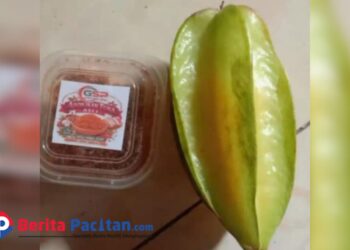 Salah satu paket Program Makan Bergizi Gratis (MBG) yang diterima siswa sekolah dasar di Kecamatan Kebonagung, Selasa, 24 Februari 2026. (Foto: Dok. Wali Murid)