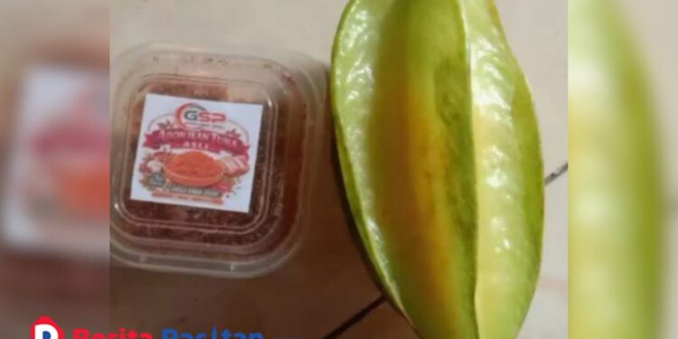 Salah satu paket Program Makan Bergizi Gratis (MBG) yang diterima siswa sekolah dasar di Kecamatan Kebonagung, Selasa, 24 Februari 2026. (Foto: Dok. Wali Murid)