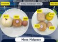 Menu Makan Bergizi (MBG) yang disajikan SPPG Sidomulyo 1, Kecamatan Kebonagung, Pacitan, menampilkan perbedaan porsi kecil dan porsi besar beserta rincian estimasi harga tiap item makanan. Rabu (25/2/2026). (Foto: Dok. SPPG Sidomulyo 1).