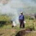 Petani di Pacitan tetap mengolah lahan di tengah ancaman musim kering, memanfaatkan sisa curah hujan dan dukungan sarana irigasi untuk menjaga produktivitas pertanian. (Foto : Sunardi / Beritapacitan.com).