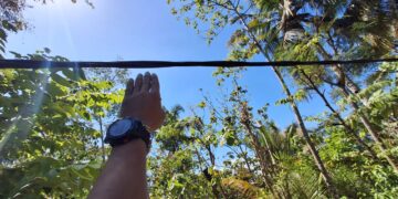 Kondisi kabel listrik yang menjuntai rendah di RT 01 RW 07 Dusun Kayat, Desa Poko, Kecamatan Pringkuku, Kabupaten Pacitan, membuat warga khawatir terjadi sengatan listrik. (Foto: Dok. Warga)