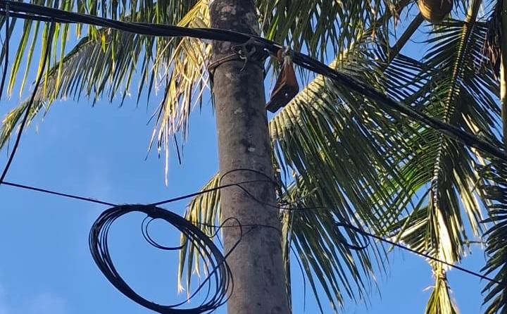 Tiang listrik dengan kondisi kabelny yang menjuntai rendah di RT 01 RW 07 Dusun Kayat, Desa Poko, Kecamatan Pringkuku, Kabupaten Pacitan, membuat warga khawatir terjadi sengatan listrik. (Foto: Dok. Warga)