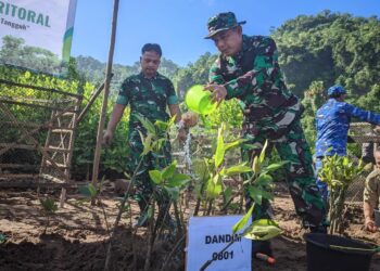 Kasdim 0801/Pacitan Mayor Inf. Muhajir saat melakukan penanaman mangrove di kawasan pesisir Watumejo, Desa Kembang, Kecamatan Pacitan, Senin, 25 Mei 2026. (Foto: Al Ahmadi/Berita Pacitan)