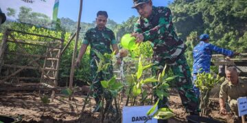 Kasdim 0801/Pacitan Mayor Inf. Muhajir saat melakukan penanaman mangrove di kawasan pesisir Watumejo, Desa Kembang, Kecamatan Pacitan, Senin, 25 Mei 2026. (Foto: Al Ahmadi/Berita Pacitan)