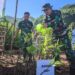 Kasdim 0801/Pacitan Mayor Inf. Muhajir saat melakukan penanaman mangrove di kawasan pesisir Watumejo, Desa Kembang, Kecamatan Pacitan, Senin, 25 Mei 2026. (Foto: Al Ahmadi/Berita Pacitan)
